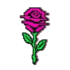 Error Rose Pin, front view